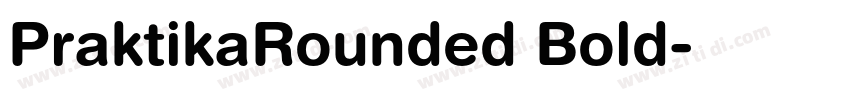 PraktikaRounded Bold字体转换